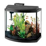 aquarium kokopet آکواریوم پتشاپ کوکوپت