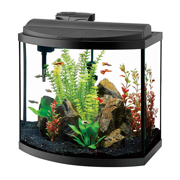 aquarium kokopet آکواریوم پتشاپ کوکوپت