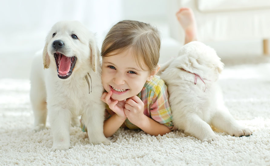 The effect of children's communication with animals تأثیر ارتباط کودکان با حیوانات بر رشد و توسعه اجتماعی آن‌ها