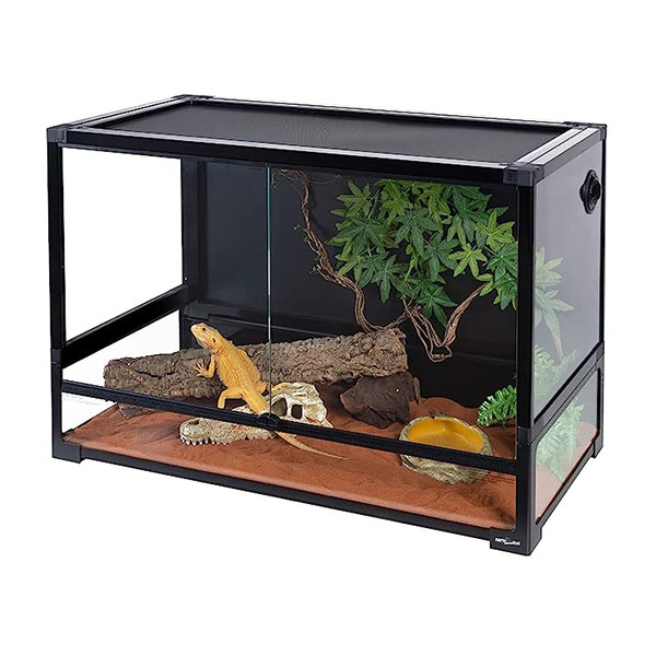 reptiles trarium - kokopet.ir تراریوم خزندگان پتشاپ کوکوپت 8