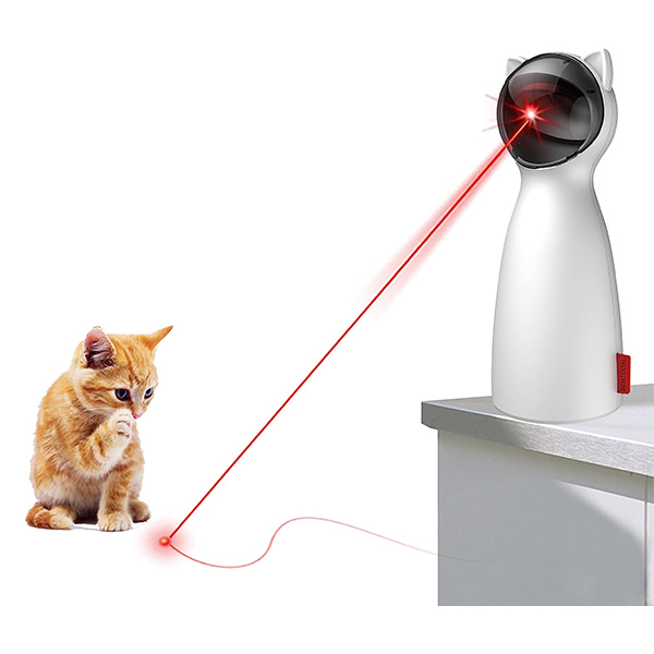 سرگرمی لیزری گربه در فروشگاه پتشاپ کوکوپت - Laser Cat Entertainment