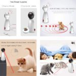 سرگرمی لیزری گربه در فروشگاه پتشاپ کوکوپت - Laser Cat Entertainment
