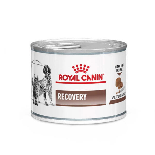 kokopet.ir - پتشاپ کوکوپت - petshop kokopet - کنسرو ریکاوری سگ و گربه رویال کنین -  Royal Canin RECOVERY CANNED FOOD dog and cat