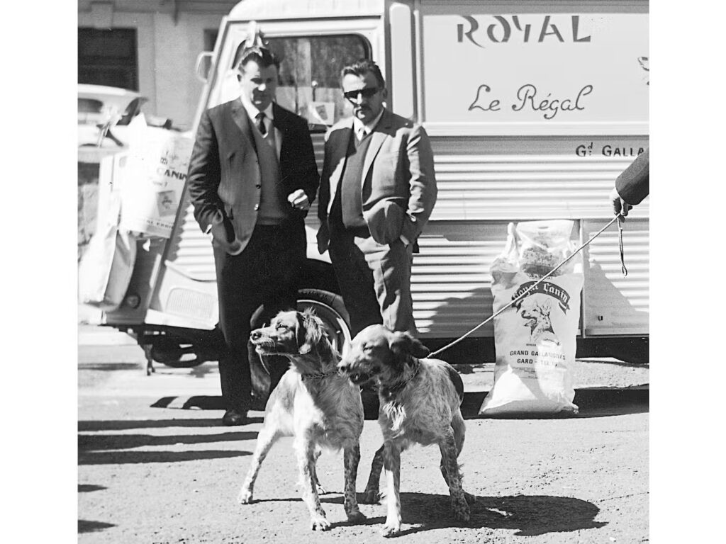 پت شاپ کوکوپت . محصولات رویال کنین royal canin . لیست قیمت رویال کنین royal canin . فروشگاه حیوانات خانگی kokopet 