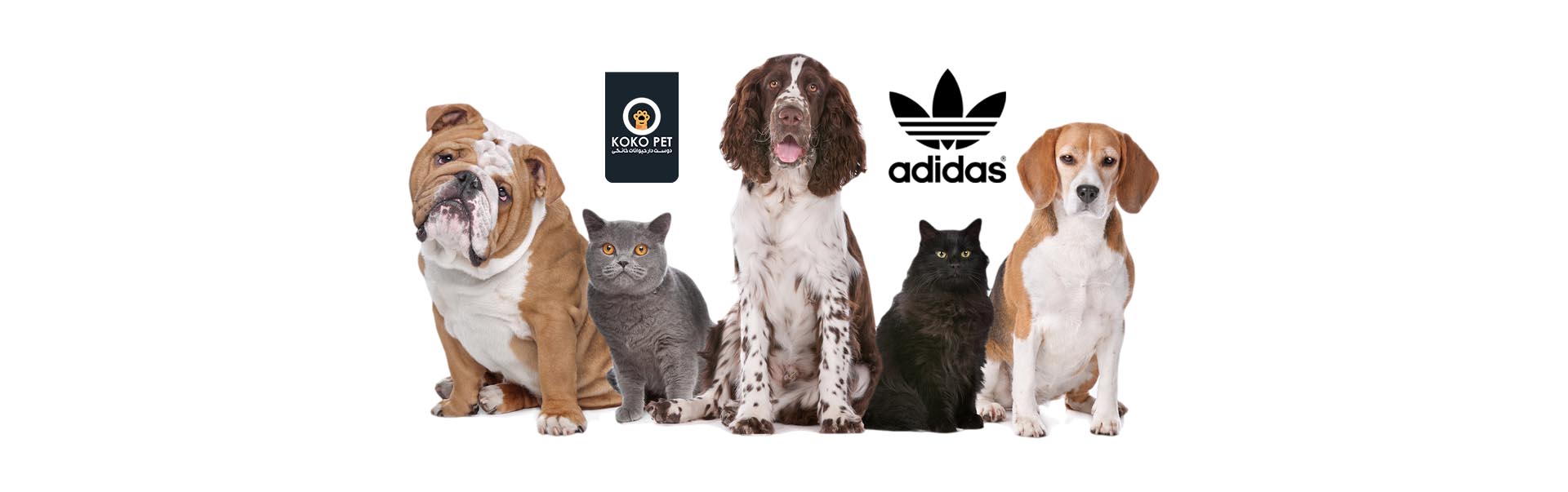 کالکشن جدید آدیداس برای حیوانات خانگی (+عکس و قیمت)adidas clothing for pet kokopetadidas آدیداس banner kokopet petshop پت شاپ کوکوپت petshop پتشاپ کوکوپت