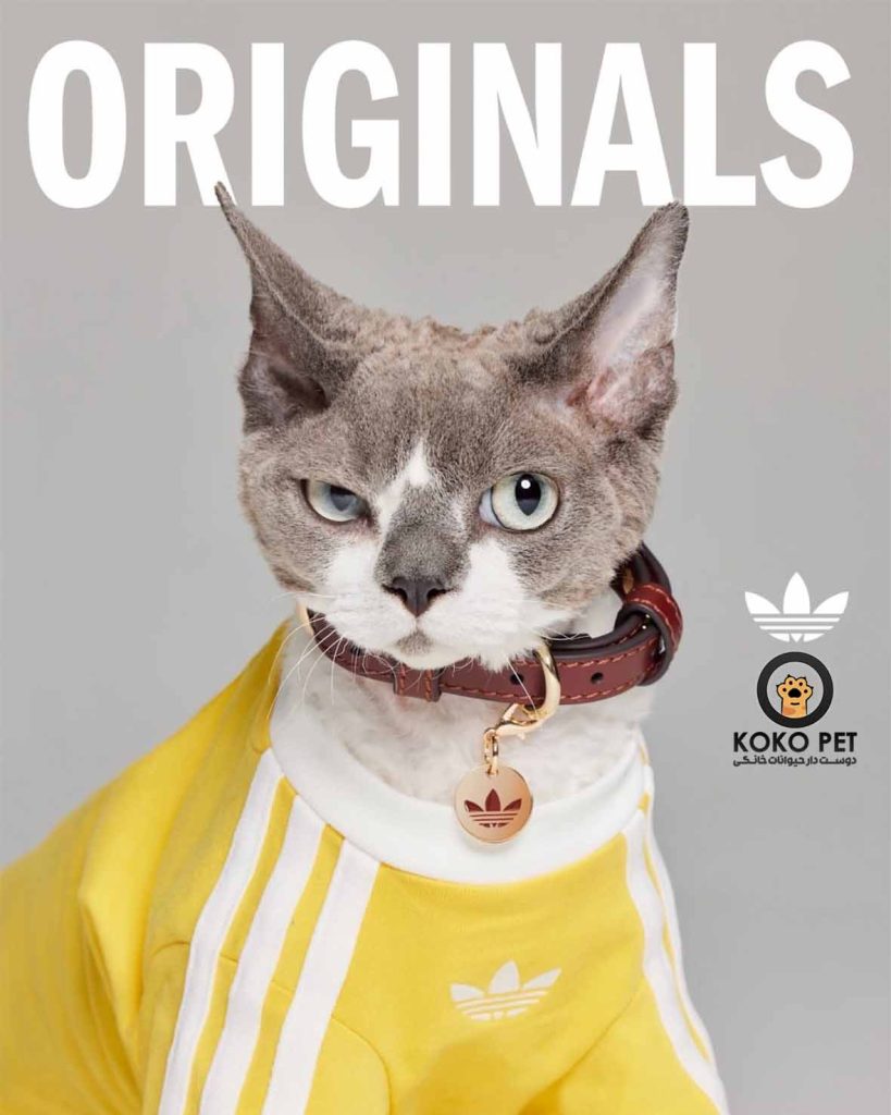 لباس سگ گربه آدیداس اورجینالز adidas pet