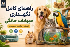 راهنمای کامل نگهداری حیوانات خانگی + بررسی هزینه‌ها